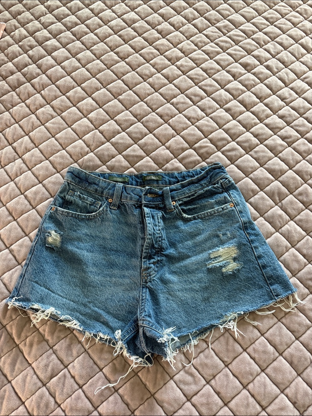 wild fable Distressed Blue Denim Cutoff Shorts